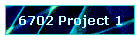 6702 Project 1