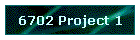 6702 Project 1